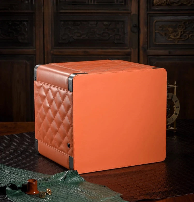 Axis - Watch Winder Safe